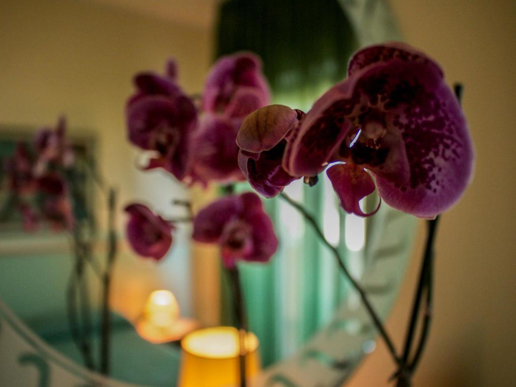 Blu Hotel San Nicola Manfredi Luaran gambar